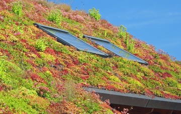 Kettleburgh living roof systems